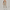 Sleeveless Active Jumpsuit