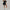 Define Bodysuit