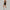 Muse Lift Romper