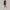Muse Lift Romper
