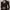 Muse Flex Jacket
